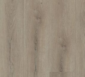 Paladin Plus- Toasted Taupe