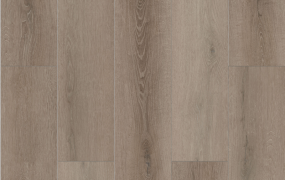 Bambino Coffee Feather